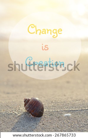 life quote. Inspirational quote by   Unknown Source   on Clamshell on sunny beach in morning