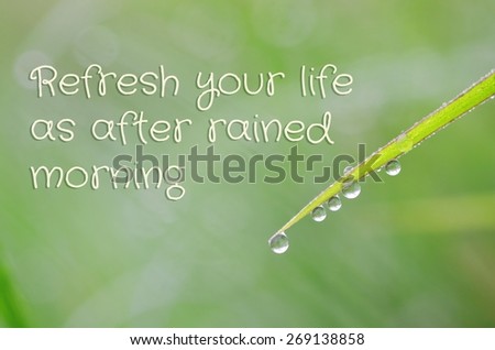 life quote. Inspirational quote on natural background