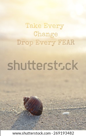 life quote. Inspirational quote by Inspirational Quote by Unknown Source  Motivational background on Clamshell on sunny beach in morning