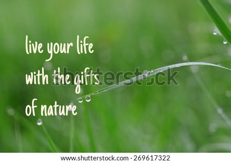 life quote. Inspirational quote on natural background