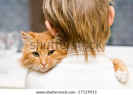The red cat sitting on a shoulder at the child
