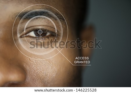 Scan For Security Or Identification. Eye With Scanner And Computer Interface