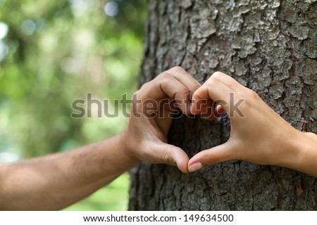 Heart shape. Close-up of human hands making heart shape in front of the tree