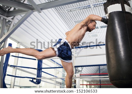 Boxer. Aggressive young kickboxer training at the punching bag