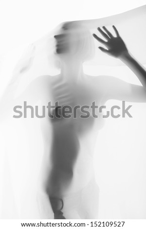 Naked beauty. Black and white image of beautiful naked woman covered with transparent cloth