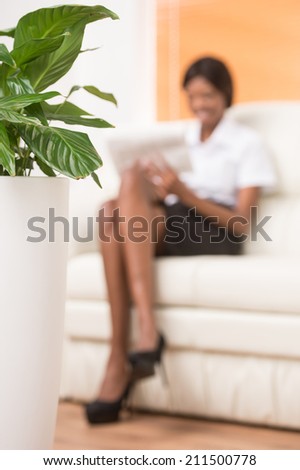 blurred young black girl with laptop computer. Woman sitting in bright living room with plant on foreground