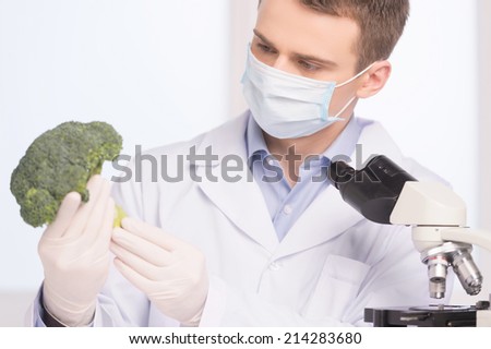 green broccoli in genetic engineering laboratory. man holding broccoli and looking on white background