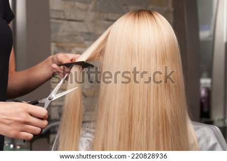 Back view of woman getting new haircut by hairdresser at parlor. hairdresser cutting client\'s hair in beauty salon