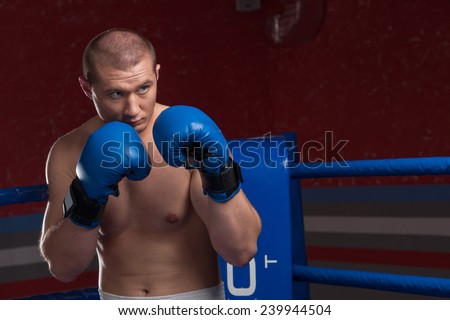 Handsome muscular young man wearing boxing gloves. Boxer with blue gloves in blue ring
