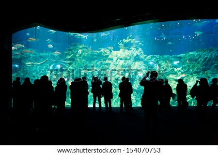 Hong Kong - March 15: People watching big aquarium in Hong Kong Ocean Park on March 15, 2012.