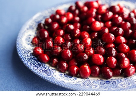 A blue and white porcelain platter filled with raw cranberries against a blue background.