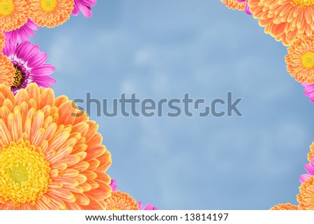 frame made from two kinds of colorful flowers with a blue sky background