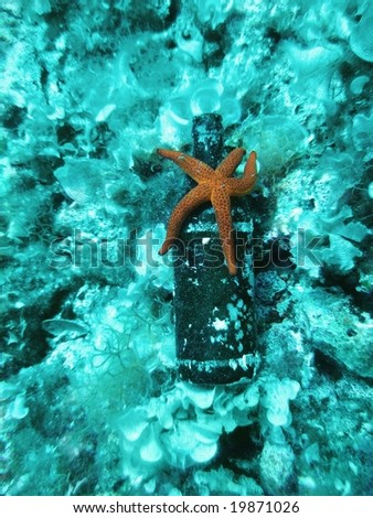 Sea pollution - a beer bottle on the bottom of the sea