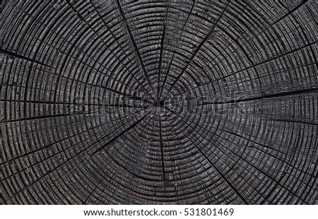 Surface of timber background ,  White and black wood background. Monochrome wood
