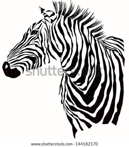 Animal illustration of vector zebra silhouette Animal illustration of vector zebra silhouette
