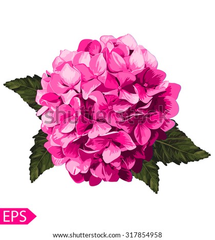 Vector pink realistic hydrangea, lavender. Illustration of flowers. Vintage. Can be used for gift wrapping paper.