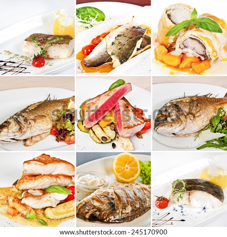 Fish dishes collage including lemon sole, baked sea bass, white atlantic cod, dorado, tuna steaks with vegetables, grouper fillet and barramundi fillet