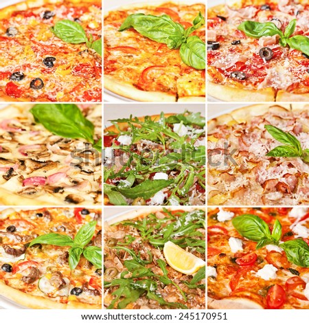 Various pizza collage including spicy pepperoni pizza, tomato basil pizza, prosciutto mozzarella pizza, pizza with panchetta and mushrooms and pizza Margarita