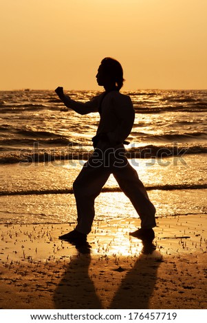 Martial arts man training taekwondo in silhouette