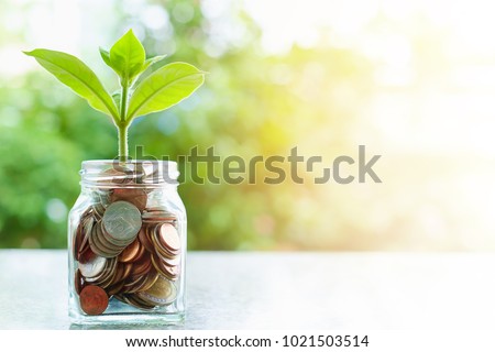 Plant growing from coins in the glass jar on blurred green natural background with sun light effect and copy space for business and financial growth concept