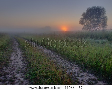 Single lane road throughout foggy field at sunrise. Silence and tranquil landscape