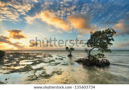One of the reef Florida Keys islands at sunrise. Florida Keys, USA.