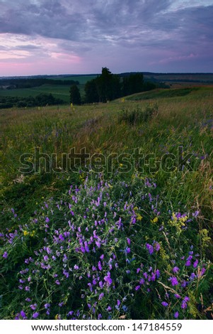 Summer sunrise over flowers fields and hills in Russia