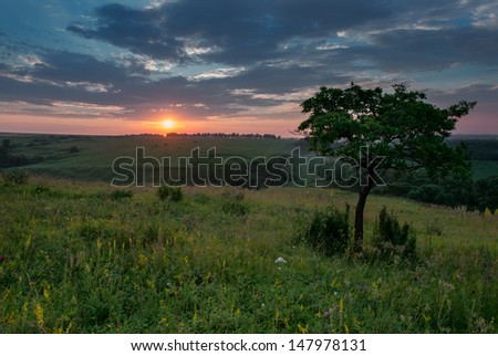Sunrise from the top of the hill. Summer landscape with natural colors