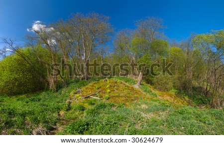 Panoramic shot of a edge of forest in spring with mossy hummock and a lot of natural springs