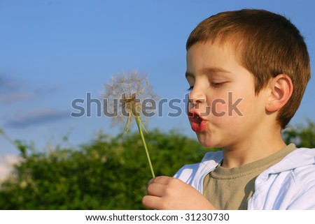 A small boy with big dreams, lit with afternoon sun holding big dandelion-like plant in hand and blowing.