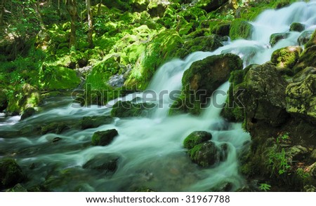 Water spring with cascade in the forest surrounded by rocks, trees and moss.