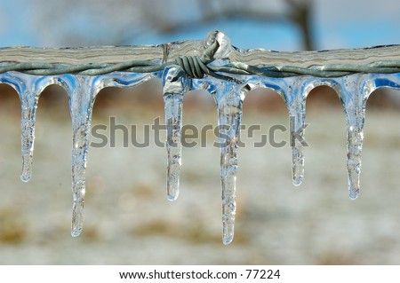 Ice Covered Barb Wire Fence