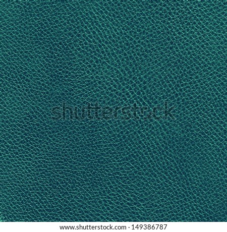 Blue animal leather, background
