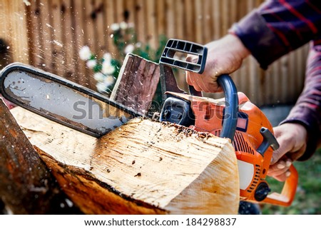 Woodcutter using a chainsaw to cut a tree