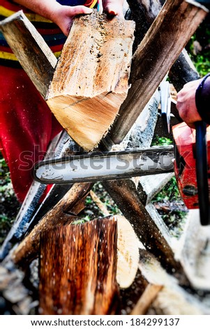 Woodcutter with a chainsaw cutting a tree for firewood