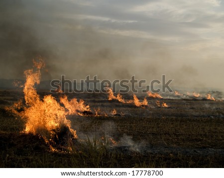 Field Fire