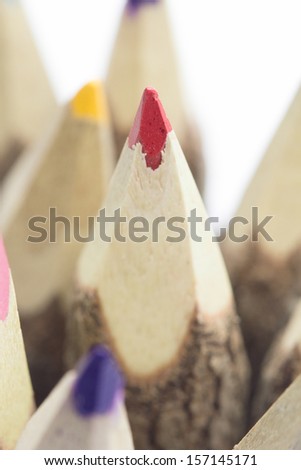 set of pencils stylized tree branch on white