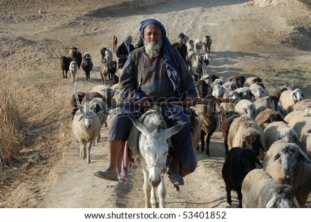 عكسهاي افغانستان Stock-photo-balkh-afghanistan-nov-afghan-sheep-herder-from-balkh-city-herds-his-sheep-on-november-53401852