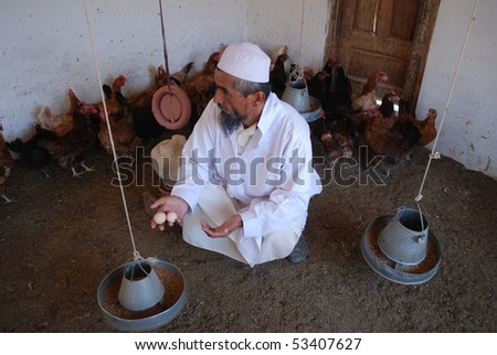 JURM, AFGHANISTAN - AUGUST 12: Afghan chicken farmer, from Jurm, Badakhshan, displays his eggs August 12, 2009 in Jurm, northern Afghanistan.