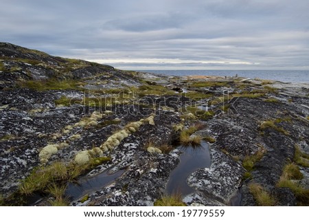 White sea (Russia) landscape with 	  hill, stones, moss and gray clouds
