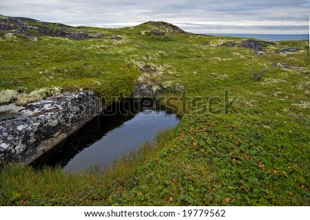 White sea (Russia) landscape with 	  hill, stones, moss and gray clouds