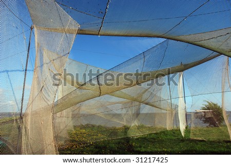 Bird catcher nets in the Bird Ringing Station