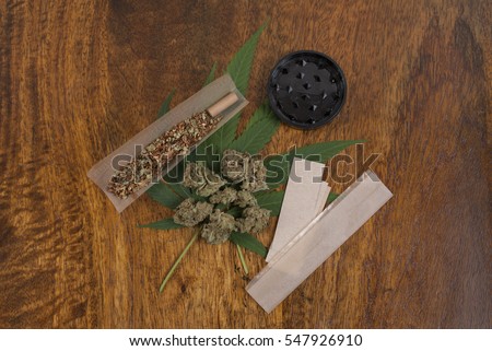 Cannabis sativa weed leaf and flower buds on wooden background with grinder and large smoking papers, copy space