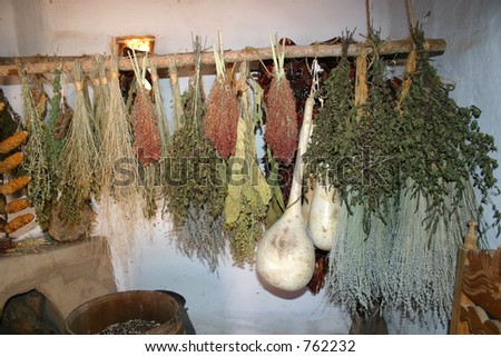 Drying rack from centuries old hacienda showing a variety of herbs and gourds drying to be used for seasonings, teas, and home remedies.