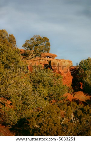 Evening sunlight after a storm in Red Canyon, glows golden among the red rock bluffs and mixed juniper (Juniperus osteosperma) and pinyon pine (Pinus edulis) forestation.