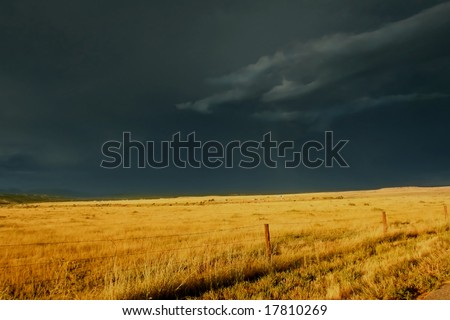 Dark, ominous storm clouds roll over golden prairie grass highlighted by the setting sun.