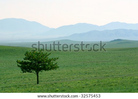 A lone pine tree stands vigil over a mystical landscape of green grass and magical blue hills shrouded in mist