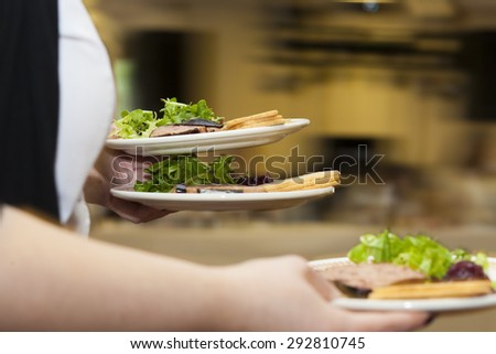 Waitress at restaurant serving food to diners