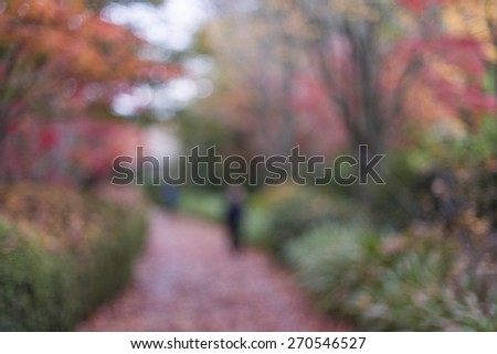 People walking in autumn maple trees garden in blur motion background