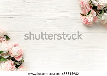 Border frame with space for text, beige peonies isolated on white background. Flat lay, top view. Floral frame. Frame of flowers. Floral background